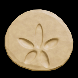 Sand Dollar