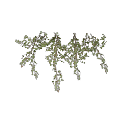 ivy-type_8