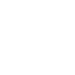symbol_06