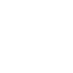 symbol_29