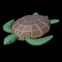 Sea Turtle