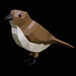 Sparrow