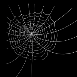 Spiderweb Corner