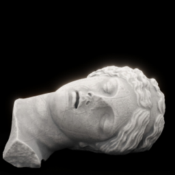 Head_of_a_sleeping_dead_girl