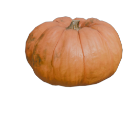 Pumpkin