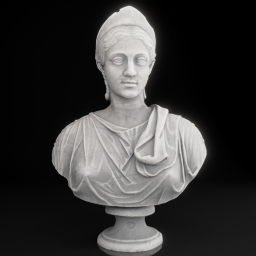 portrait of julia cornelia paula