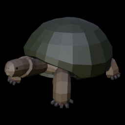 Tortoise