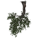 3DGardenPlants_Scaned_Olea_europaea_17_LowPoly