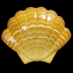 Yellow Scallop Shell