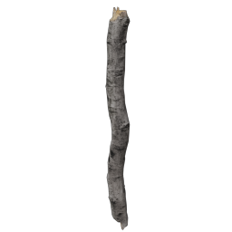 Branch01