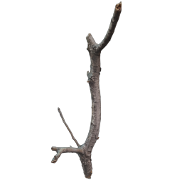 Branch02