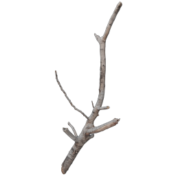 Branch03