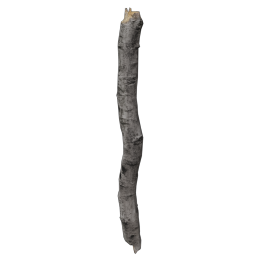 Branch1