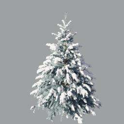 Picea pungens winter_01(3,3m)_snow_winter_silver_A