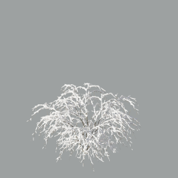 Spiraea Vanhouttei with snow_3DShaker_L