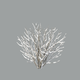 Viburnum01_with snow_3DShaker_L