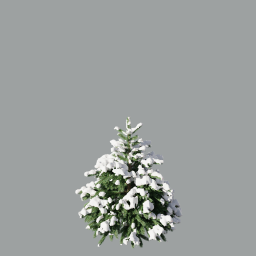 Picea pungens winter_01(1,8m)_3DShaker_snow_winter_green_L