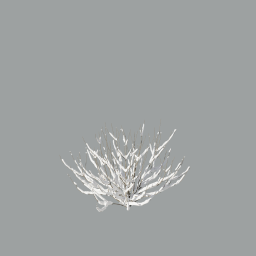 Viburnum02_with snow_3DShaker_L