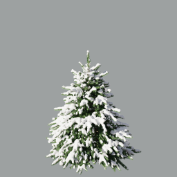 Picea pungens winter_01(2,6m)_snow_winter_green_L