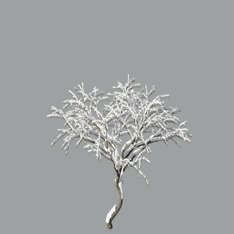Malus fruit tree winter 2,8m_snow_L