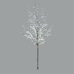 Quercus_rubra_0104_with snow_3DShaker_L