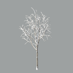 Malus_Hybridus_0105_snow_A