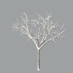 Malus_Hybridus_0104_winter_snow_L