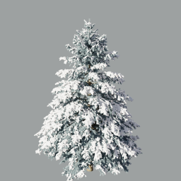 Picea_pungens_0601(5.2m)_winter_snow_silver_L