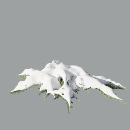Juniperus_squamata_0204_snow_A