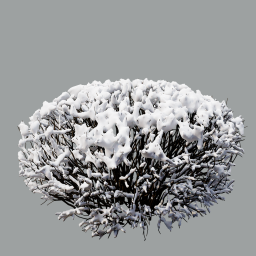 Cotoneaster_hedge_0105_round_winter_L