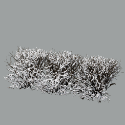 Cotoneaster_hedge_0105_snow-light_L