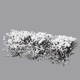 Cotoneaster_hedge_0105_snow-xheavy_L