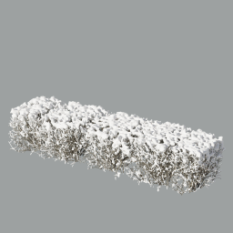 arranged_Cotoneaster_hedge_0305_snow_heavy_winter_L