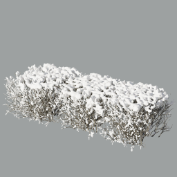 Cotoneaster_hedge_0302_snow_xheavy_L