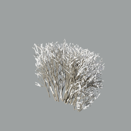Cotoneaster_hedge_0303_snow_light_L