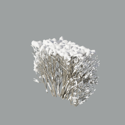 Cotoneaster_hedge_0303_snow_xheavy_L