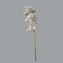 Pinus_Sylvestris_3102(21.3m)_with snow_winter 3DShaker_L