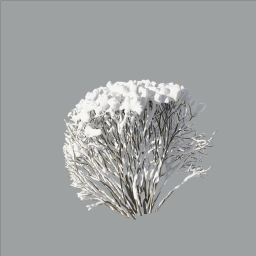 Cotoneaster_hedge_0201_winter_end_snow-xheavy_L
