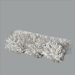 Cotoneaster_hedge_0202_winter_snow-light_L
