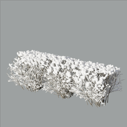 Cotoneaster_hedge_0202_winter_snow-xheavy_L