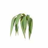 Fytowall-Grass03