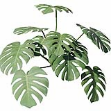 Fytowall-Monstera005