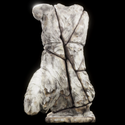 torso of a woman Iris damaged