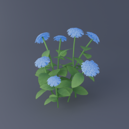 Blue Hydrangea 01