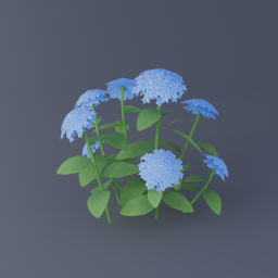 Blue Hydrangea 02