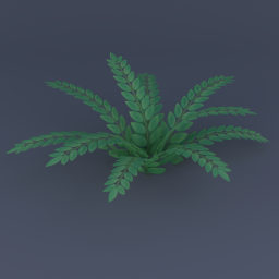 Fern 02
