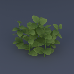 Leafy Plant 01