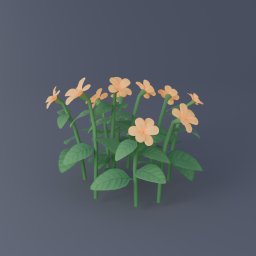 Orange Flowers 01
