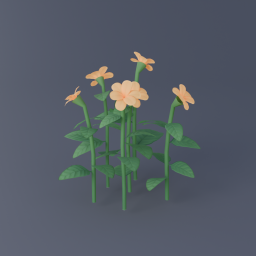 Orange Flowers 02