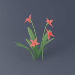 Red Flower 02